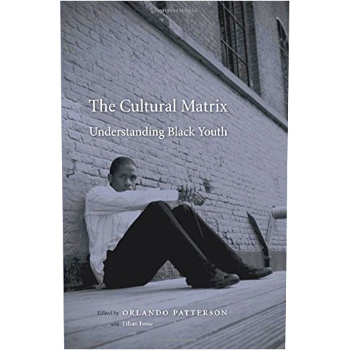 By Orlando Patterson (Editor), Ethan Fosse (Contributor), Andrew Clarkwest (Contributor), Rajeev Dehejia (Contributor), Thomas DeLeire (Contributor), Kathryn Edin (Contributor), Amy E. Foran (Contributor), Simone Ispa-Landa (Contributor), Alexandra A. Killewald (Contributor), Joseph C. Krupnick (Contributor), Erzo F.P. Luttmer (Contributor), Wayne Marshall (Contributor), Jody Miller (Contributor), Josh Mitchell (Contributor), Jackie Rivers (Contributor), James E. Rosenbaum (Contributor), Janet Rosenbaum (Contributor), Peter Rosenblatt (Contributor), Robert J. Sampson (Contributor), Pam Schuetz (Contributor), Tommie Shelby (Contributor), Jennifer Stephan (Contributor), Van C. Tran (Contributor), Sudhir Alladi Venkatesh (Contributor), Christopher Winship (Contributor), Robert G. Wood (Contributor), Queenie Zhu (Contributor) & 24 more The Cultural Matrix: Understanding Black Youth