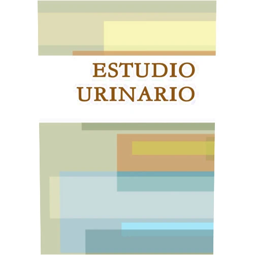 Spanish Edition by MARIA DOLORES GARCIA HERNANDEZ (Author), MARIA DEL CARMEN DIAZ QUIROS (Author), FRACISCA MUÑOZ MARTINEZ (Author) & 1 more ESTUDIO URINARIO (Spanish Edition)