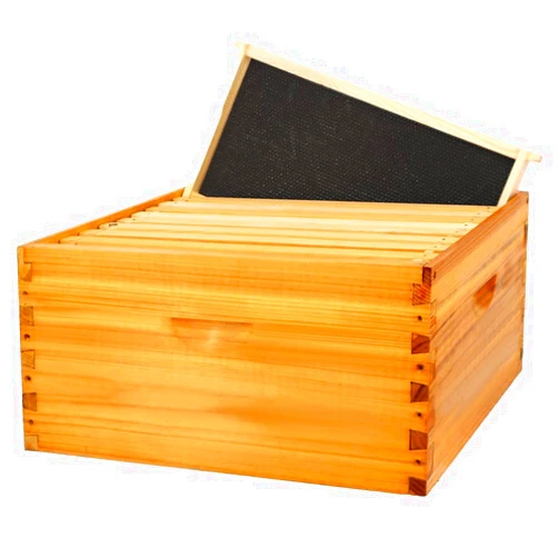BEEINN 10 Frame Bee Hive Box, Langstroth Deep Brood Bee Box Dipped in Beeswax Include Beehive Frames and Waxed Foundation Sheets (Unassembled)