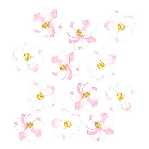 iFancer Pressed Dried Flowers for Resin Art, Candle Making, Scrapbooking, DIY Crafts Supplies (Delphinium, Pink, 30 PCS)
