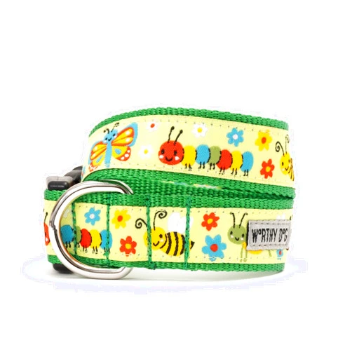 THE WORTHY DOG Everyday Bugs Collar – Comfortable, Durable Nylon Webbing with Woven Ribbon, Strong Quick-Release Buckle & Nickel-Plated D-Ring – Green, Medium