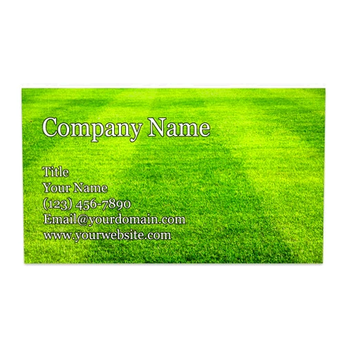 DISCOUNTCARDSTOCK.COM Personalized Business Cards - 3.5