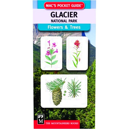 Stephen Whitney,Elizabeth Briars Mac's Pocket Guide: Glacier National Park, Trees & Flowers