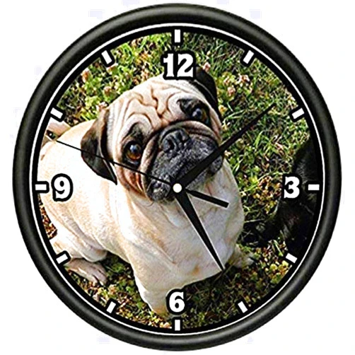 SignMission Pug FACE Wall Clock Dog Lover Doggie pet Breed Gift
