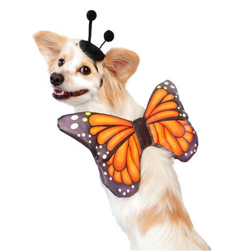PET KREWE UNLEASH THE PARADE Pet Krewe Butterfly Dog Costume & Cat Costume - Butterfly Wings Costume for Pets - Harness Attachment, One Size Fits All - Perfect for Halloween, Christmas Holiday, Parties,Gifts for Dog & Cat Lovers