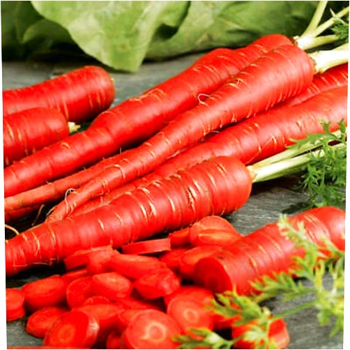 David's Garden Seeds Carrot Atomic Red 200 Non-GMO, Heirloom Seeds