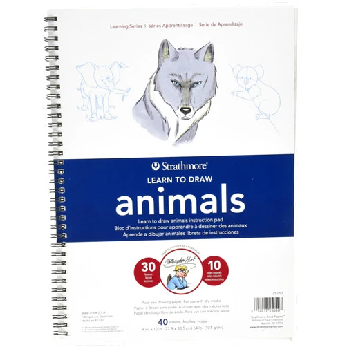 Strathmore Learn To Draw Wire Pad 9