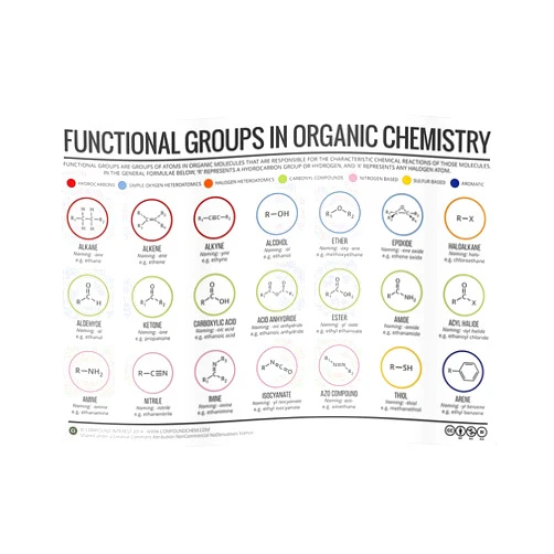 Posters For The People Functional Groups in Organic Chemistry Poster Small (23.2 x 16.4 in) | Posters Wall Art for College University Dorms, Blank Walls, Bedrooms | Gift Great Cool Trendy Artsy Fun Awesome Present