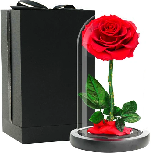 YFYS Marvelous Eternally Preserved Rose – Immaculate Single Rose Elegantly Encased in a Glass Dome – The Ultimate Symbol of Forever Love and Beauty
