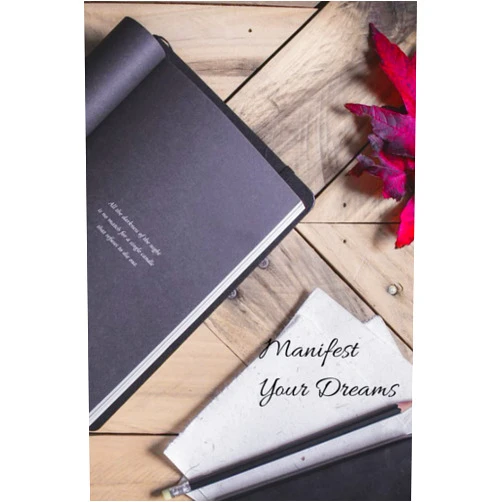 By Mr. Kevin Ingram (Author) Manifest Your Dreams