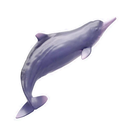 PNSO Living Animal:17 Xibao The Chinese White Dolphin