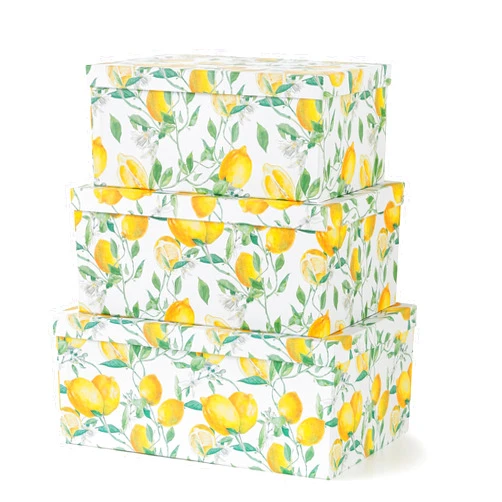 Soul & Lane Decorative Cardboard Storage Boxes with Lids for Home Decor and Organization, Set of 3 Large Keepsake Boxes for Memories & Gifts, Nesting Floral Photo Storage Containers, Zesty Lemons