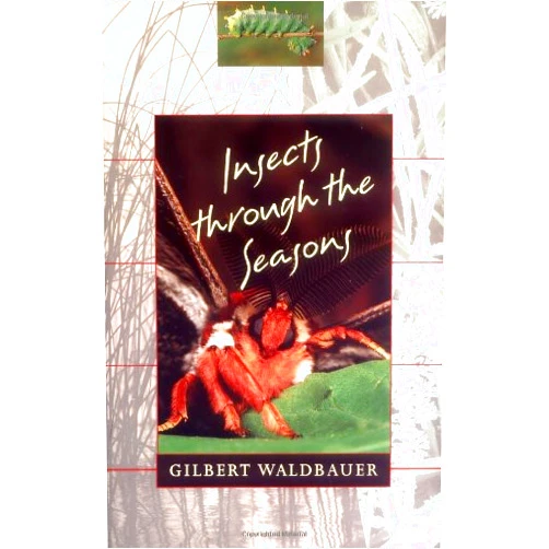 Gilbert Waldbauer Insects through the Seasons