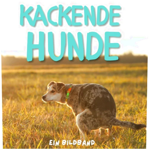 Tim Fröhlich Kackende Hunde: Ein Bildband (German Edition)