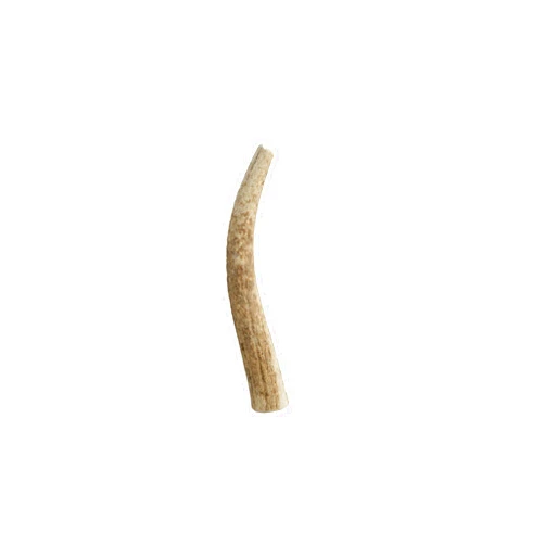 Pet Parents Gnawtlers- Premium Elk Antlers for Dogs, Naturally Shed Elk Antlers for Dogs, All Natural Elk Antler Dog Chew, Dog Bones, Specially Selected from The Heartland Region (X-Large (Pack of 1))