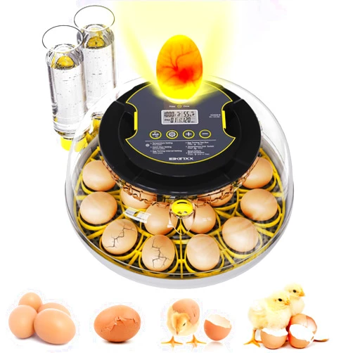 IBKINXX Incubator for Hatching Eggs-18 Egg Capacity, Automatic Egg Turner, Temperature & Humidity Control, 360° Viewing for Chicken, Duck and Quail Eggs