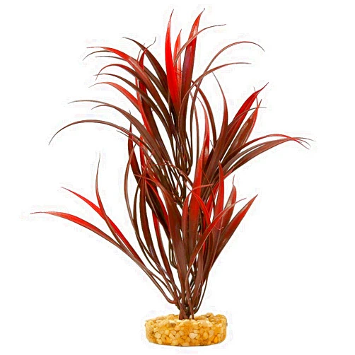 Blue Ribbon Pet Products ABLCB2012RD Sword Plant for Aquarium, Red