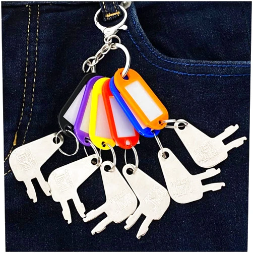 Badogrio 8H-5306 cat Key Compatible with Caterpillar Includes Keychain & Tag(6 Pack)