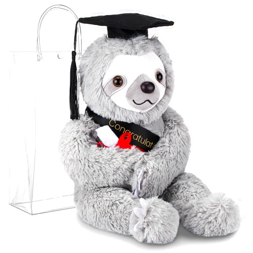 Hollowfly 2025 Graduation Gifts Plush Bear 10 Inch Stuffed Animal Signature for Class of 2025 Graduation Congratulations with Cap Plushies Bear with Clear PVC Bag for Students(Black,Sloth)