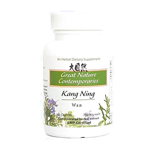 Great Nature Kang Ning Wan (90 Tablets, 750mg Each)