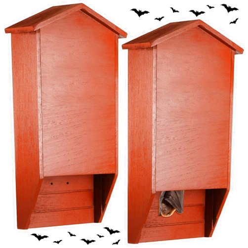 Wenqik 2 Pack Bat House for Outdoor for Tree Large Bat Box for Outside 2 Chamber Wood Bat House Kit 15.6 x 9 x 3.2 Inch Weatherproof Wooden Bat Shelter, Red Brown