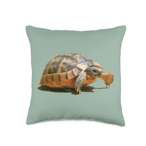 Tortoise Gifts And Land Turtle Tees by taiche Portrait of a Young Wild Tortoise Isolated Throw Pillow, 16x16, Multicolor