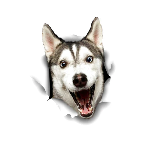 Winston & Bear 3D Dog Stickers - 2 Pack - Happy Husky for Wall, Fridge, Toilet and More - Retail Packaged Husky Wall Decals