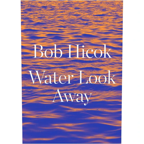 Bob Hicok Water Look Away