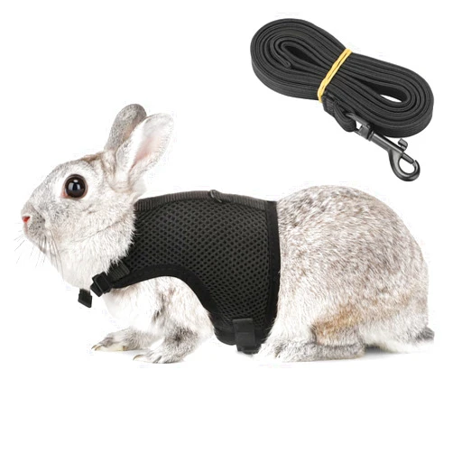 PETTOM Bunny Rabbit Harness with Stretchy Leash Cute Adjustable Buckle Breathable Mesh Vest for Kitten Small Pets Walking (XS(Chest:7.87-10.6 in), Black)
