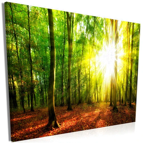 artgeist Canvas Wall Art Print Forest 35x24 in - 1pcs Home Decor Framed Stretched Picture Photo Painting Artwork Image Landscape Trees Nature c-B-0663-b-a