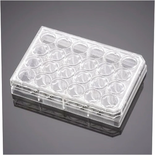 Discovery Labware Incorporated CORNBIO - Corning BioCoat Fibrillar Collagen 24 Mwell Inse rt System w/ 1.0 µm PET Membrane, EA1