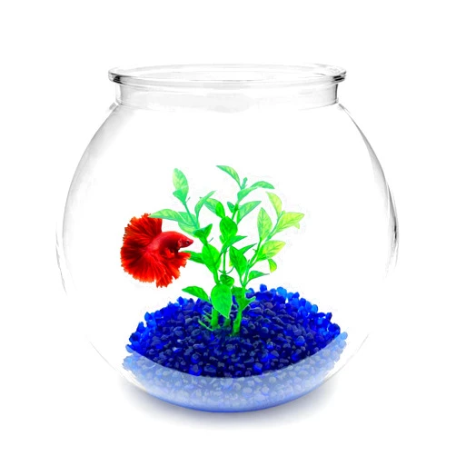 Newpol Mini Plastic Aquarium Starter Kits, Fish Tank (0.8Gallon/ 3L)