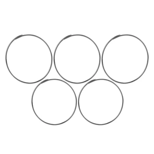 Alomejor 5Pcs Hub Pawl Spring Stainless Steel Freehub Body Pawl Spring Without Hook for F0/F1/F3/F5/XL/KT