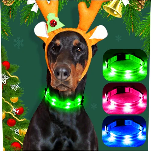 YFbrite LED Dog Collar, LED Dog Collar USB Rechargeable Waterproof, Flashing Dog Collar, Dog Collar Light Glow in The Dark for Safety night Walking for Small, Medium and Large Dogs (Green, Small)