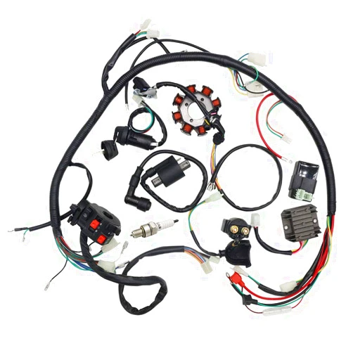 Bravedog Complete Wiring Harness kit Wire Loom Electrics Stator Coil CDI for ATV Quad 4 Four Wheelers 150CC 200CC 250CC Go Kart Dirt Pit Bikes