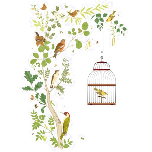 BWCXXZH Removable Bird on Bracnch Wall Stickers, DIY Romantic Birdcage Decor Tree Wall Murals Peel and Stick Wall Art Stickers Home Decor for Gilrs Bedroom Nursery Rooms Living Room
