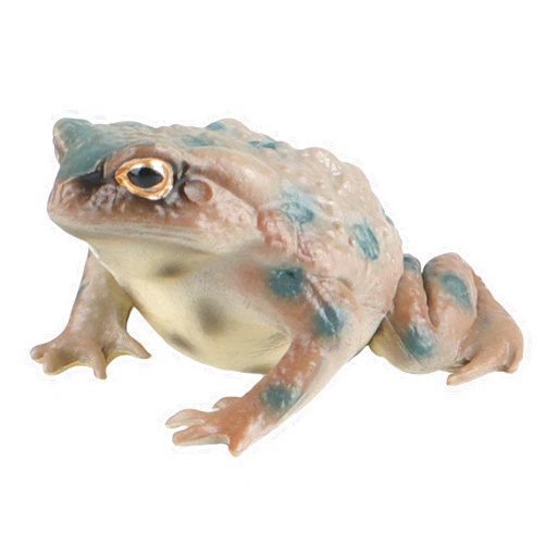 AENIMELY Realistic Solid Frog and Toad Animal Figurines for Kids, Educational Reptile Toys, Ideal for Birthday, Party Favors, and Science Projects（Grey）