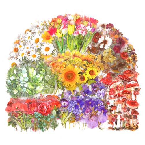 Knaid Botanical Stickers Set (320 Pieces) Pressed Flower Resin Decals Transparent Daisy Tulip Eucalyptus Leaf Mushroom Journaling Sticker for Scrapbook Card Making Junk Journal Bullet Journal Planner