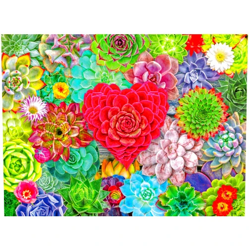 Ravensburger Succulent Love 500 Piece Jigsaw Puzzle | Visually Calming Design | Air-Purifying Plant Theme | FSC-Certified Materials