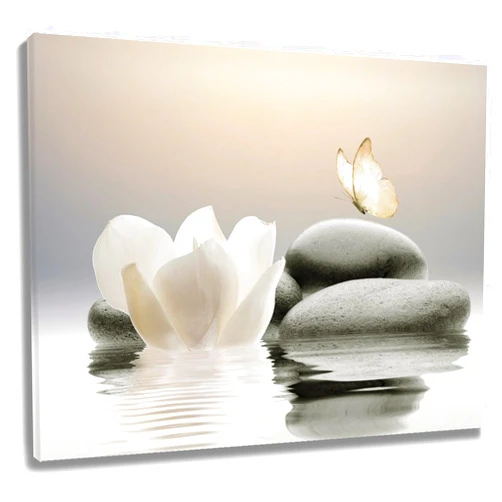 EOBTAIN Zen Water Lily Canvas Wall Art White Floral and Yellow Butterfly on Stone Bedroom Wall Decor Modern Spiritual Yoga Spa Painting Picture Artwork Bathroom Decor 20x16 Inches