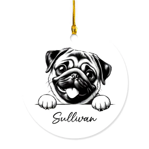 Pissro Personalized Name Pug Christmas Ornament 2025, Dog Pet Drawing Ornament Keepsake, Custom Pug Dog Pencil Xmas Ornament Gifts for Dog Lovers Dog Owners, Pug Dog Lovers Christmas Tree Hanging Ornament