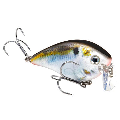 Strike King KVD 2 5 Wake Bait 1