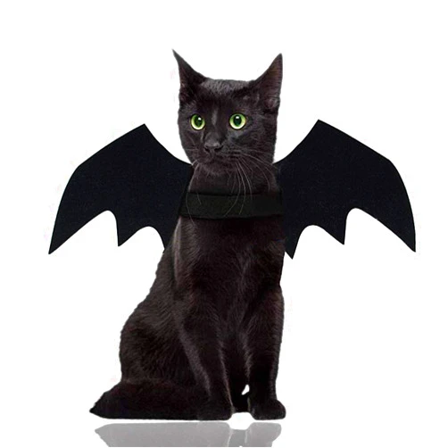 Malier Halloween Cat Costume for Cats Dogs Pet Bat Wings Cat Dog Bat Costume Wings