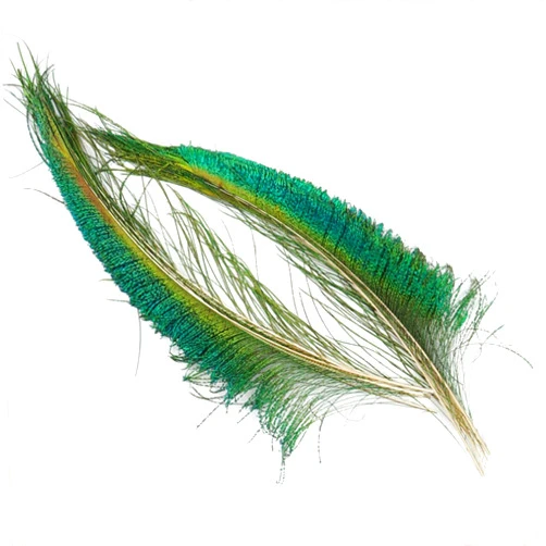 Zadaos 20Pcs/Lot Peacock Feathers Wedding Party Decoration Peacocks Sword Feather for Vases Jewelry Creation Handicraft 20Pcs Peacocks Sword