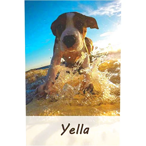 Emuvilus publishing Yella: Tagebuch / Journal Personalisiertes Notizbuch Yella - individuelles Namensbuch mit Hunde Motiv | DIN A5 100 Seiten | liniert (German Edition)