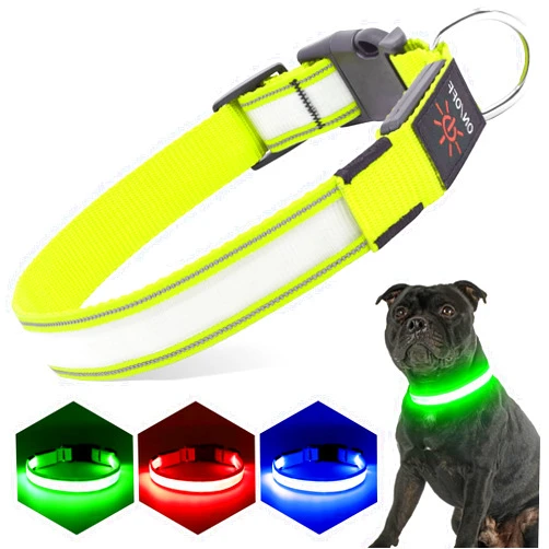 PZRLit LED Light Up Dog Collars Micro USB Rechargeable Waterproof, Full Adjustable Lighted Glow Dark Dog Collar Light for Night Walking for Small Medium Large Dogs, Green