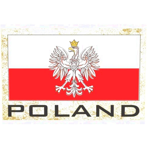 FNG Flag Fridge Magnets Flag Fridge Refrigerator Magnets - Europe Grp 2 (1-Pack, Country: Poland)