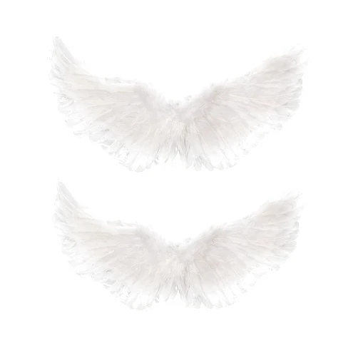Gejoy 2 Pieces Angel Feather Floating Wings Halloween Costume with Elastic Straps for Women Girls Adults Kids Cosplay(White,23.62 x 15.75 Inch)