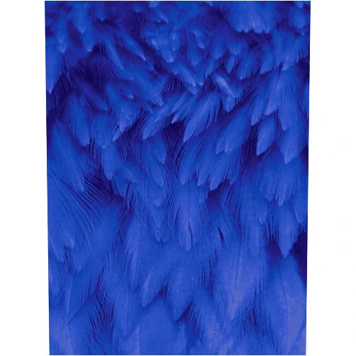 Sara M Schaller AngelWise | Blue Feather Notebook
