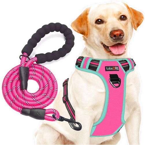 tobeDRI No Pull Dog Harness Adjustable Reflective Oxford Easy Control Medium Large Harness with A Free Heavy Duty 5ft Leash